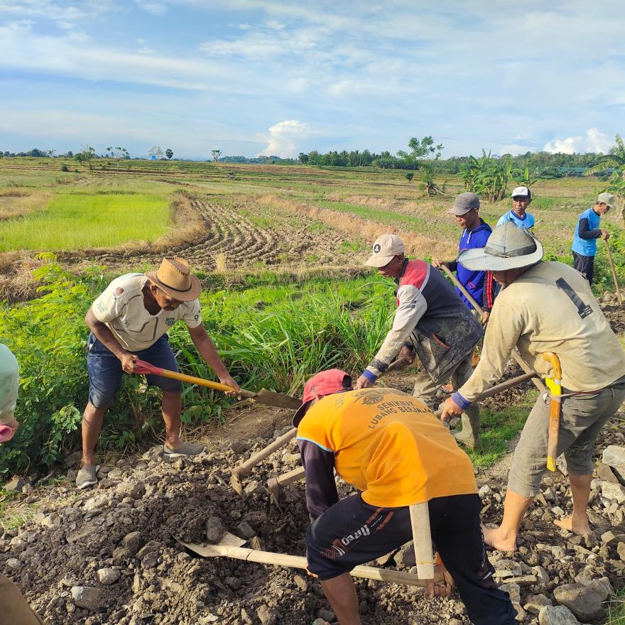 Pemdes Mario dan Masyarakat Gotong Royong Lakukan Penhamparan Batu Laterit di Jalan Tani Tanete